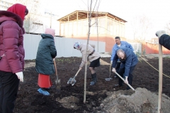 Posadka_derevev_25.04.2017_19