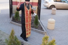 Posadka_derevev_25.04.2017_21