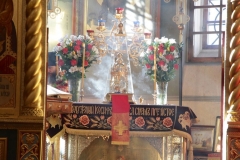 Radonica_25.04.2017_08