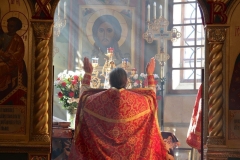 Radonica_25.04.2017_10