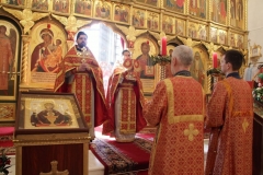 Radonica_25.04.2017_11