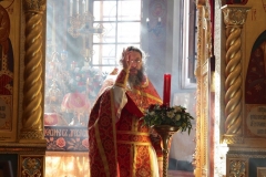 Radonica_25.04.2017_12