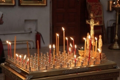 Radonica_25.04.2017_15