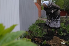 Posadka_derevev_17.05.2017_02