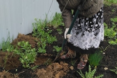 Posadka_derevev_17.05.2017_03