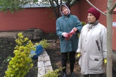 Posadka_derevev_17.05.2017_04