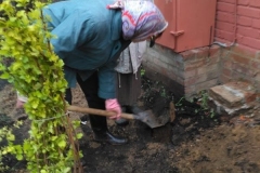 Posadka_derevev_17.05.2017_05