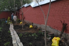 Posadka_derevev_17.05.2017_06