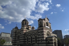 Posadka_derevev_17.05.2017_09