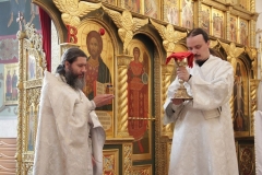 Voznesenie_25.05.2017_18