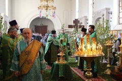 Troitsa_2017-Vechernya_03.06.2017_06