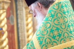 Troitsa_2017-Vechernya_03.06.2017_08