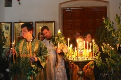 Troitsa_2017-Vechernya_03.06.2017_09