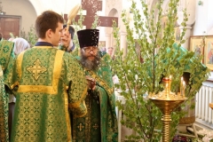 Troitsa_2017-Vechernya_03.06.2017_16