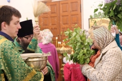 Troitsa_2017-Vechernya_03.06.2017_17