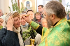 Troitsa_2017-Vechernya_03.06.2017_18