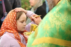 Troitsa_2017-Vechernya_03.06.2017_22