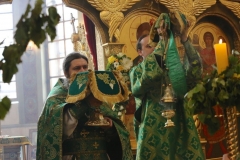 Troitsa_2017-Liturgiya_04.06.2017_06