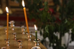 Troitsa_2017-Liturgiya_04.06.2017_10