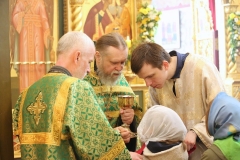 Troitsa_2017-Liturgiya_04.06.2017_11