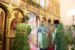 Troitsa_2017-Liturgiya_04.06.2017_17