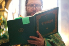 Troitsa_2017-Liturgiya_04.06.2017_19