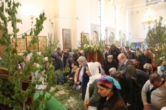 Troitsa_2017-Liturgiya_04.06.2017_22