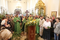 Troitsa_2017-Liturgiya_04.06.2017_23