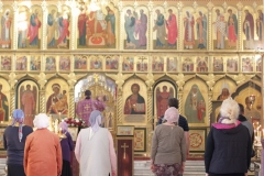 Useknovenie_glavy_005