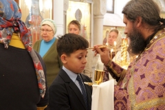 Useknovenie_glavy_017