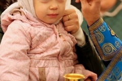 Pokrov_Bogorodicy_023