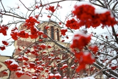 2018_Podgotovka_k_Rojdestvy_005