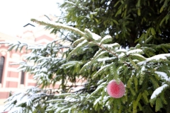 2018_Podgotovka_k_Rojdestvy_006