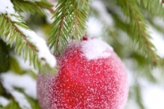 2018_Podgotovka_k_Rojdestvy_007