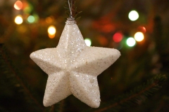 2018_Podgotovka_k_Rojdestvy_027