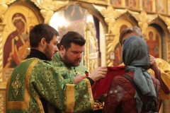 2018_04_01_verbnoe_liturgiya_013