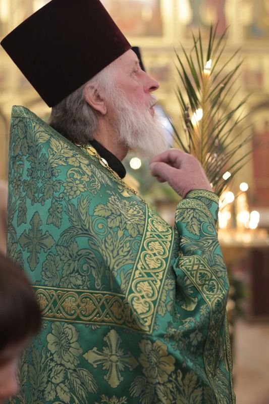 2018_03_31_verbnoe_vsen_009