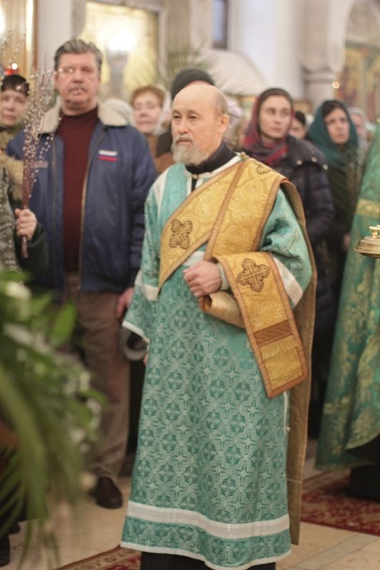 2018_03_31_verbnoe_vsen_012