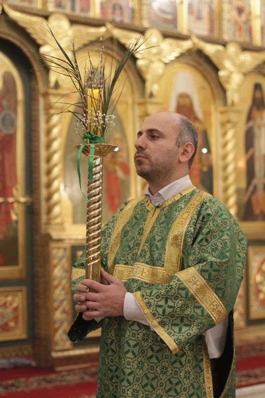 2018_03_31_verbnoe_vsen_013