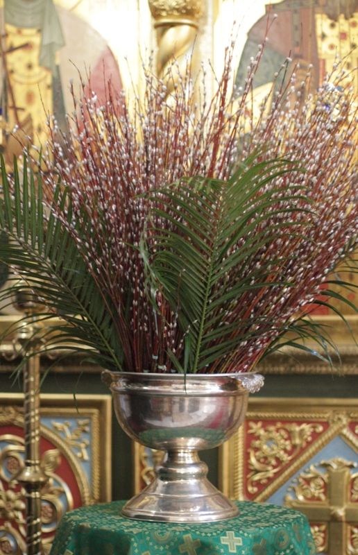 2018_03_31_verbnoe_vsen_016