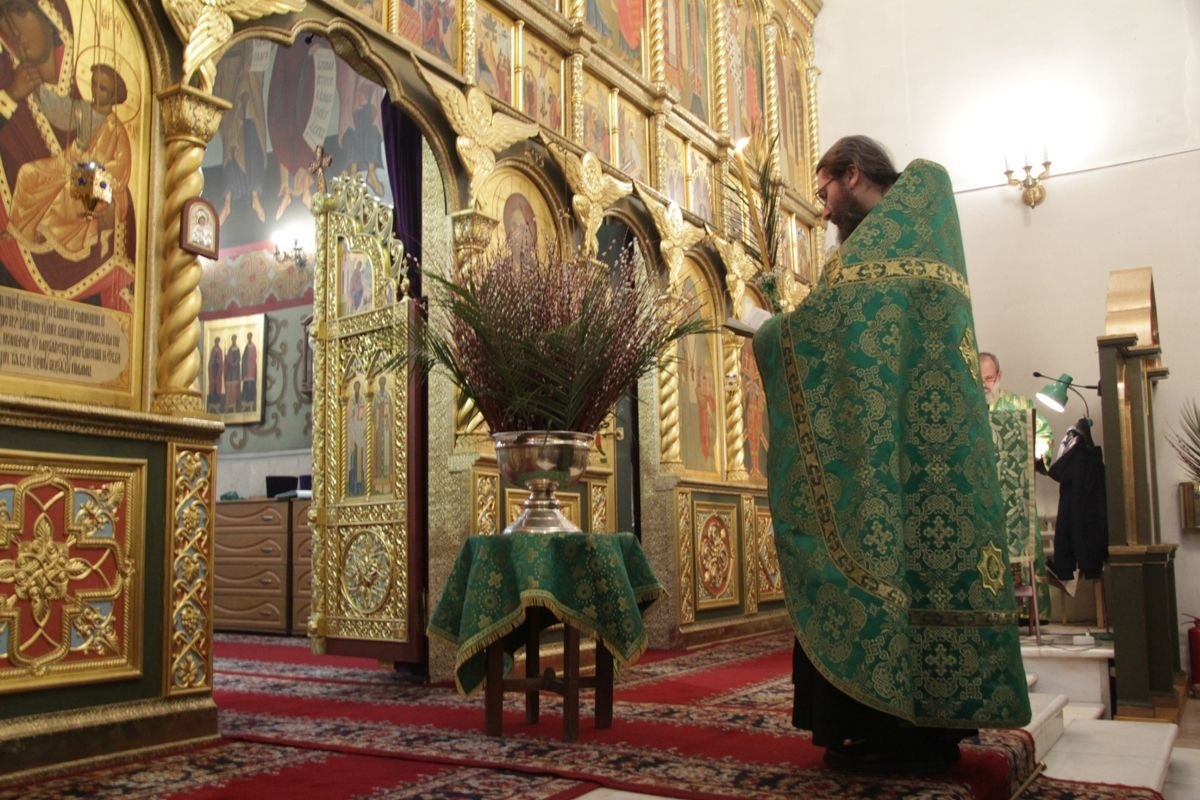 2018_03_31_verbnoe_vsen_017