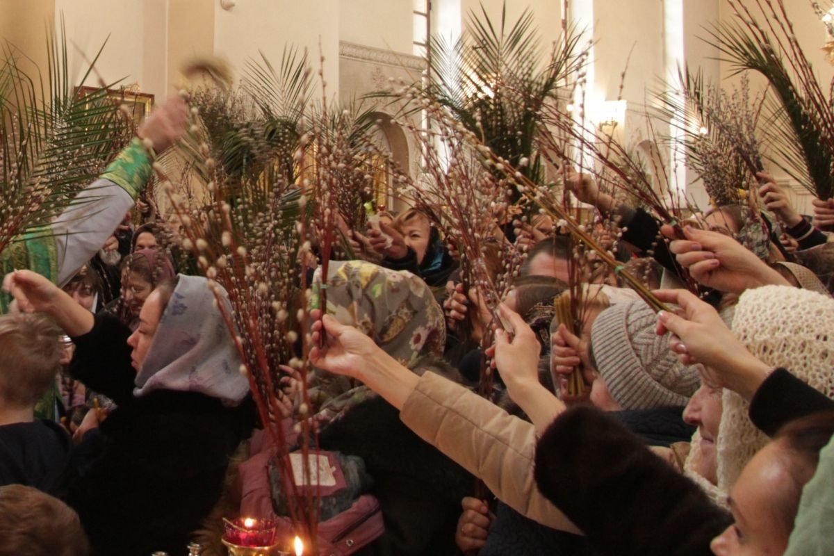 2018_03_31_verbnoe_vsen_018