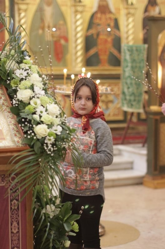 2018_03_31_verbnoe_vsen_020