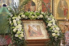 2018_03_31_verbnoe_vsen_001