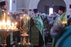 2018_03_31_verbnoe_vsen_003