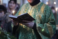 2018_03_31_verbnoe_vsen_004