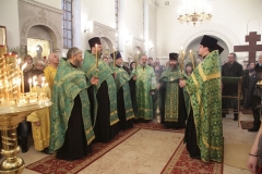 2018_03_31_verbnoe_vsen_006