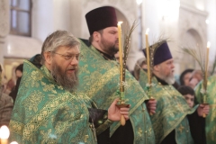 2018_03_31_verbnoe_vsen_008