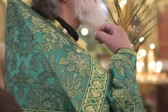 2018_03_31_verbnoe_vsen_009