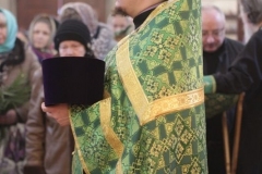 2018_03_31_verbnoe_vsen_010